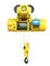 Lifting Goods Electric Wire Rope Hoist Leading Crane With Customized Color