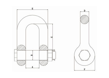 2 ton - 120 ton For Lifting Goods with Chain Sling or Wire Rope Sling D Shackles