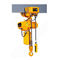 Alternative Color 0.5t-35t And 3m Stainless Steel Chain Hoist