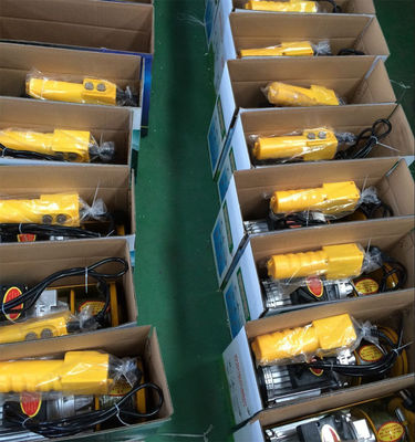 Mini 500kg/1000kg Portable Electric Wire Rope Hoist New Condition Remote Control