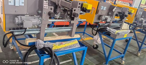 Wire Rope Reevinh European Standard Electric Wire Rope Hoist 5-20m/min